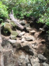 Rocky, steep trail.
