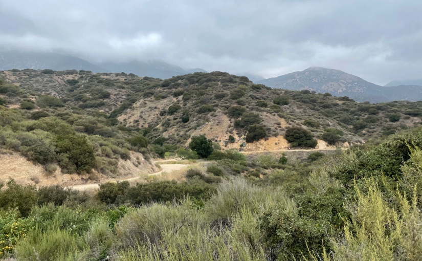 Two Hikes in Claremont, CA – and one I didn’t do